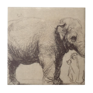 Een olifant van Rembrandt Tegeltje
