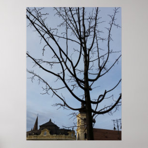 een omwentelingsboom poster