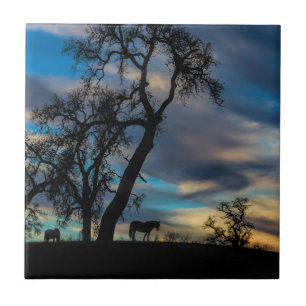 Een onderbreking in de Tegel van de Kunst van het Tegeltje