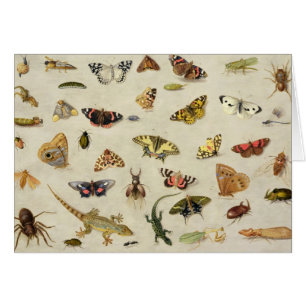 Een onderzoek naar insecten