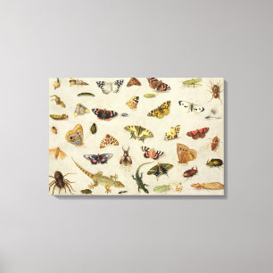 Een onderzoek naar insecten canvas afdruk