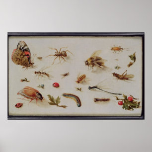 Een onderzoek naar insecten poster