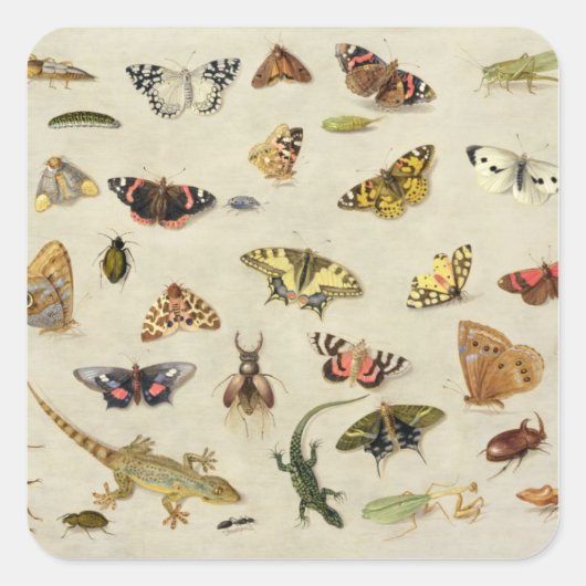 Een onderzoek naar insecten vierkante sticker (Voorkant)