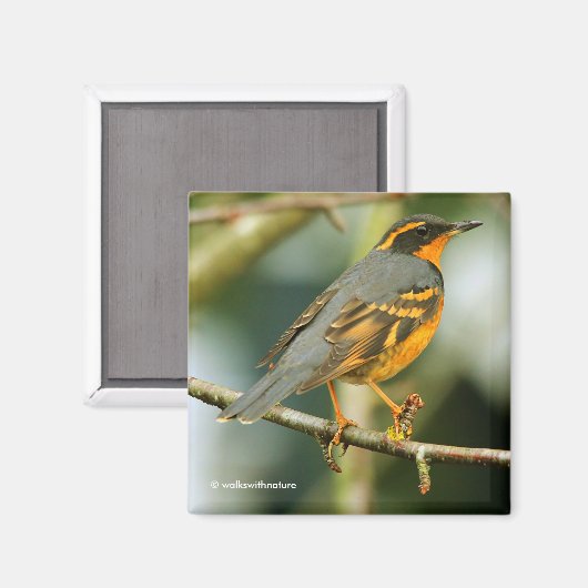 Een ondoordringbaar maar mooi gevarieerd spruitstu magneet (Voorkant / Achterkant)