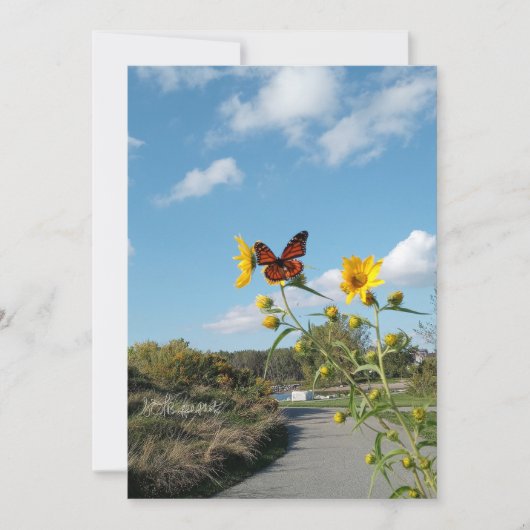 Een oogverblindend spektakel kaart (Voorkant)