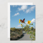 Een oogverblindend spektakel kaart (Voorkant / Achterkant)