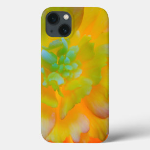 Een oplichtende, gloeiende begonia bloesem iPhone 13 hoesje