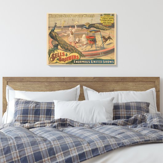 Een optredende zebu en pauw met clown trainer canvas afdruk (Insitu (Slaapkamer))