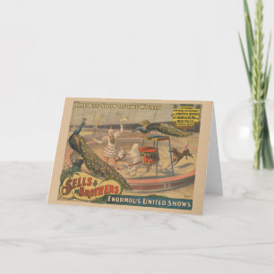 Een optredende zebu en pauw met clown trainer kaart