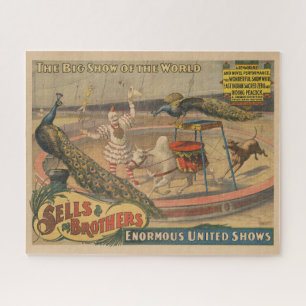 Een optredende zebu en pauw met clown trainer legpuzzel