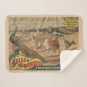 Een optredende zebu en pauw met clown trainer sherpa deken