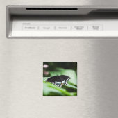 Een opvallend magneet (Insitu (Vaatwasser))