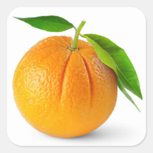 Één oranje fruit met bladeren vierkante sticker