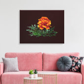 Een Oranje goudsbloem met gele tips Canvas Afdruk (Insitu (Woonkamer))