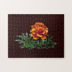 Een Oranje goudsbloem met gele tips Legpuzzel