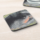 Een Oranje pool in Welshpool Bier Onderzetter (Linkerzijde)