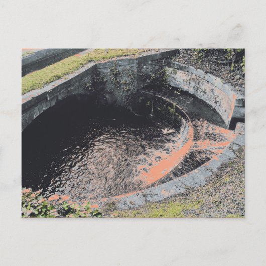 Een Oranje pool in Welshpool Briefkaart (Voorkant)