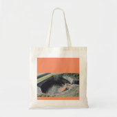 Een Oranje pool in Welshpool Tote Bag (Voorkant)
