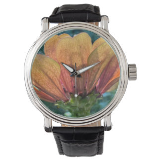 Een oranje zinnia met achtergrondverlichting horloge