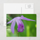 Een Orchifd voor jou! Briefkaart (Voorkant / Achterkant)