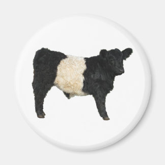 Een Oreo fancy? Belted Galloway Koe Magneet