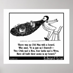 Een oud Man met een baard Poster
