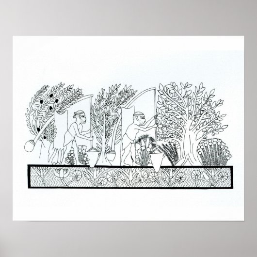 Een oude Egyptische tuin (graving) (foto) Poster (Voorkant)