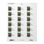 Een oude eikenboom etiket (Full Sheet)