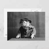 Een oude Zee hond: 1905 Briefkaart (Voorkant / Achterkant)