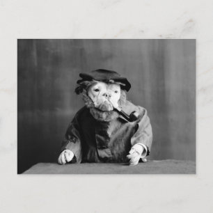 Een oude Zee hond: 1905 Briefkaart