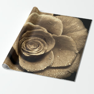 Een ouderwets roos gaat dicht, nat met waterdro cadeaupapier