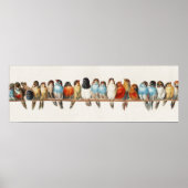 Een overzicht van de finch van vogels, 1880 (Voorkant)