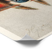 Een overzicht van de vogelstand  illustratie (Hoek)