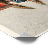 Een overzicht van de vogelstand illustratie (Hoek)