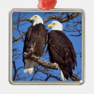 Een paar Bald Eagles Metalen Ornament