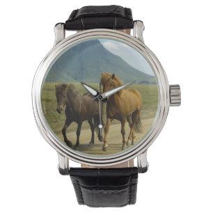 Een paar bruine IJslandse pony's Horloge