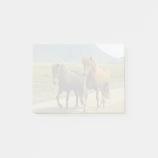 Een paar bruine IJslandse pony's Post-it® Notes (Voorkant)