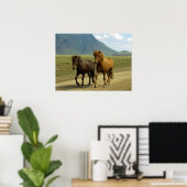 Een paar bruine IJslandse pony's Poster (Thuiskantoor)