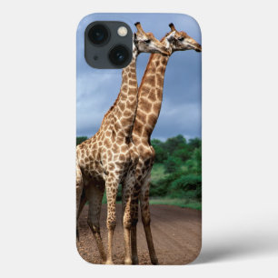 Een paar giraffen op de weg, Kruger National iPhone 13 Hoesje