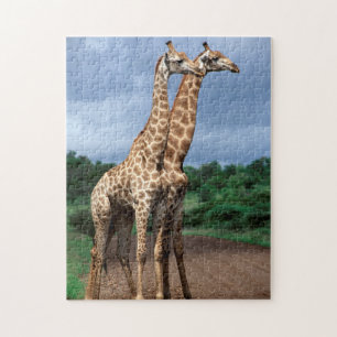 Een paar giraffen op de weg, Kruger National Legpuzzel