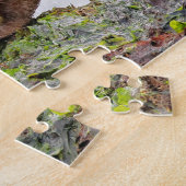 Een paar Harlequin Ducks op de Rocks Legpuzzel (Zijkant)