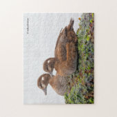 Een paar Harlequin Ducks op de Rocks Legpuzzel (Verticaal)