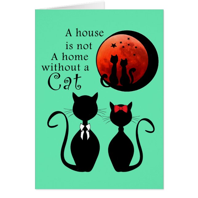 Een paar katten thuis (Voorkant)