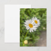 Een paar madeliefjes notitiekaartje (Voorkant / Achterkant)