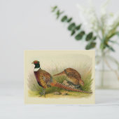 Een paar met Ring verbonden fazanten in een grijs  Briefkaart (Staand voorkant)