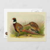Een paar met Ring verbonden fazanten in een grijs  Briefkaart (Voorkant / Achterkant)