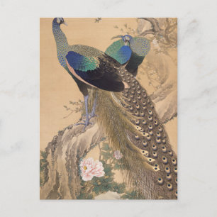Een paar paartjes pacocks in de lente van Imao Kei Briefkaart