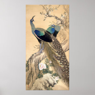 Een paar pacocks in het voorjaar van 1901 Japanse Poster
