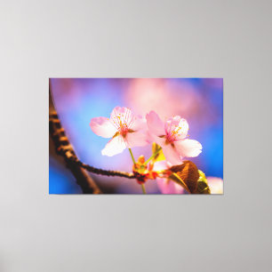 Een paar Sakura-bloemen Canvas Afdruk