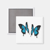 Een paar tropische blauwe vlinders magneet (Voorkant / Achterkant)
